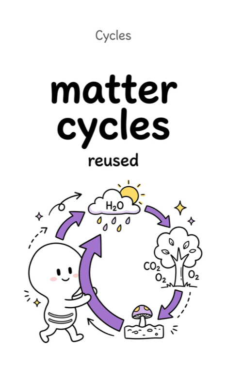 107 Biogeochemical cycling of carbon and nitrogen.png